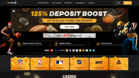 betwhale sportsbook